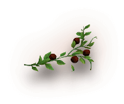 growing-item-img