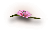 growing-item-img