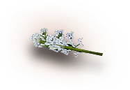growing-item-img