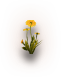 growing-item-img