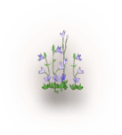 growing-item-img